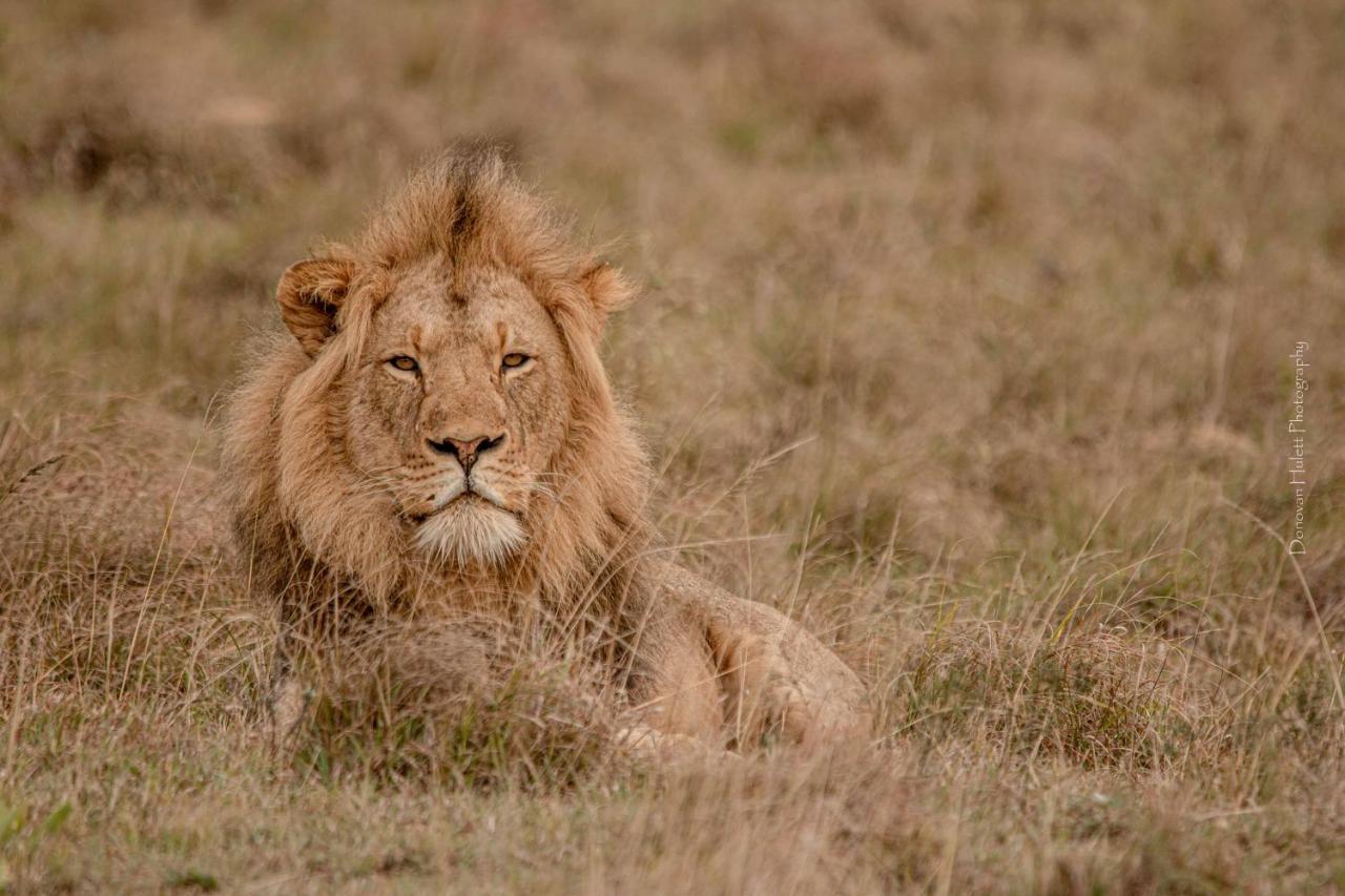 Woodbury Lodge - Amakhala Game Reserve Εξωτερικό φωτογραφία