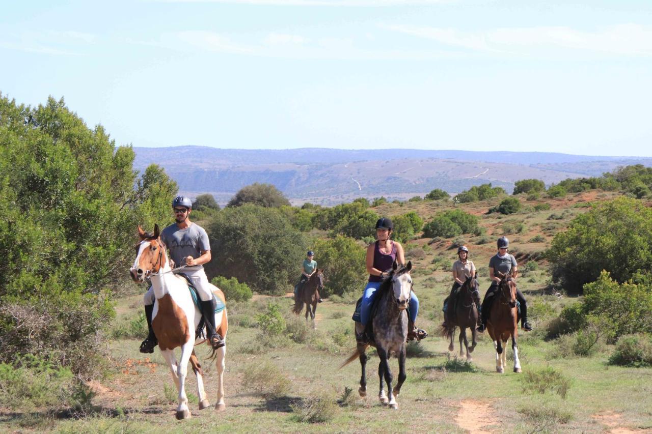Woodbury Lodge - Amakhala Game Reserve Εξωτερικό φωτογραφία