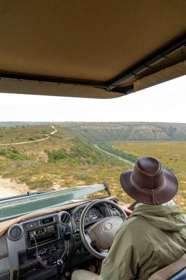 Woodbury Lodge - Amakhala Game Reserve Εξωτερικό φωτογραφία