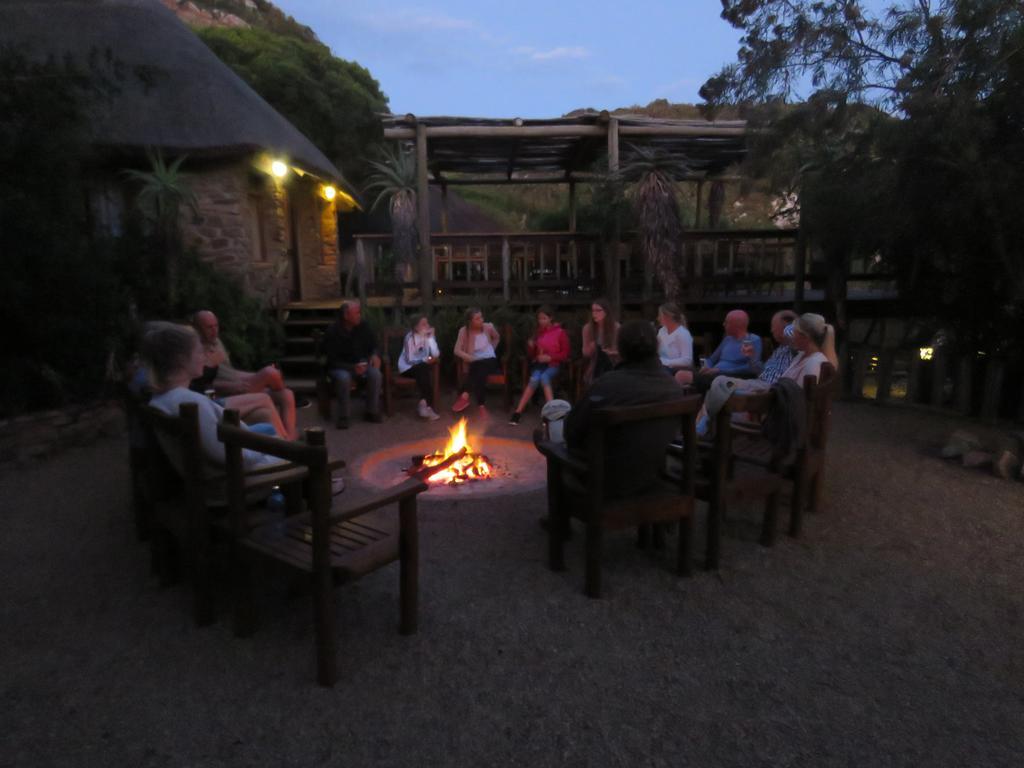 Woodbury Lodge - Amakhala Game Reserve Εξωτερικό φωτογραφία