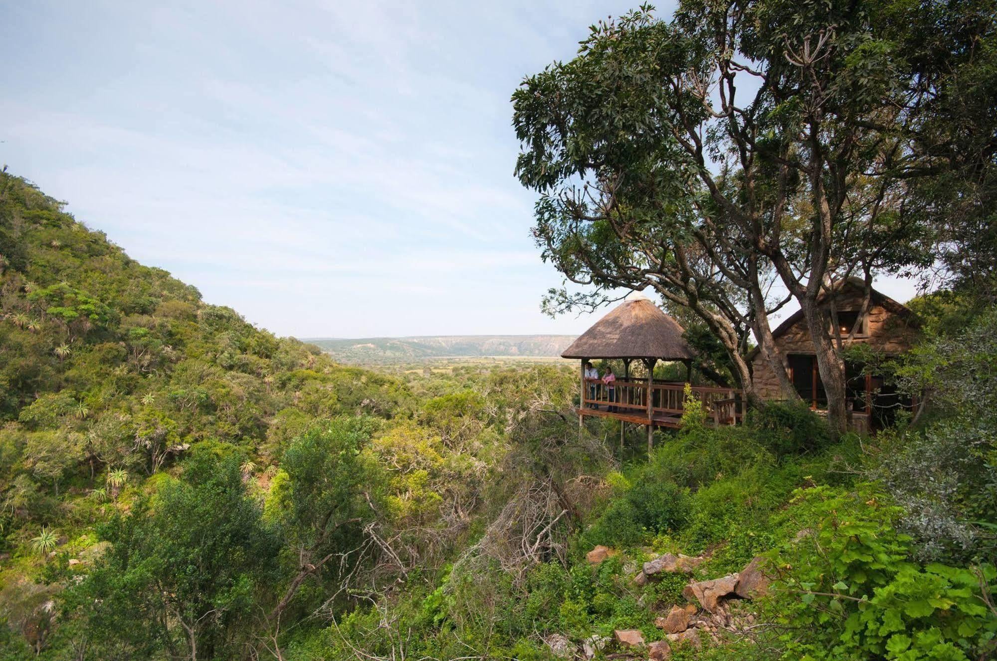 Woodbury Lodge - Amakhala Game Reserve Εξωτερικό φωτογραφία