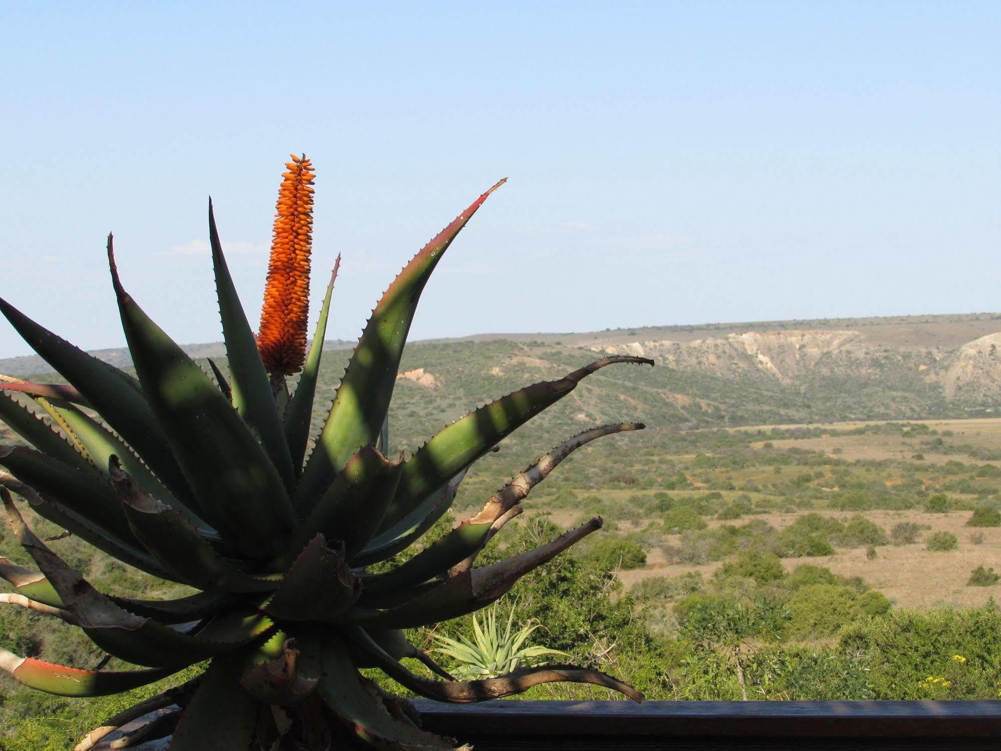 Woodbury Lodge - Amakhala Game Reserve Εξωτερικό φωτογραφία