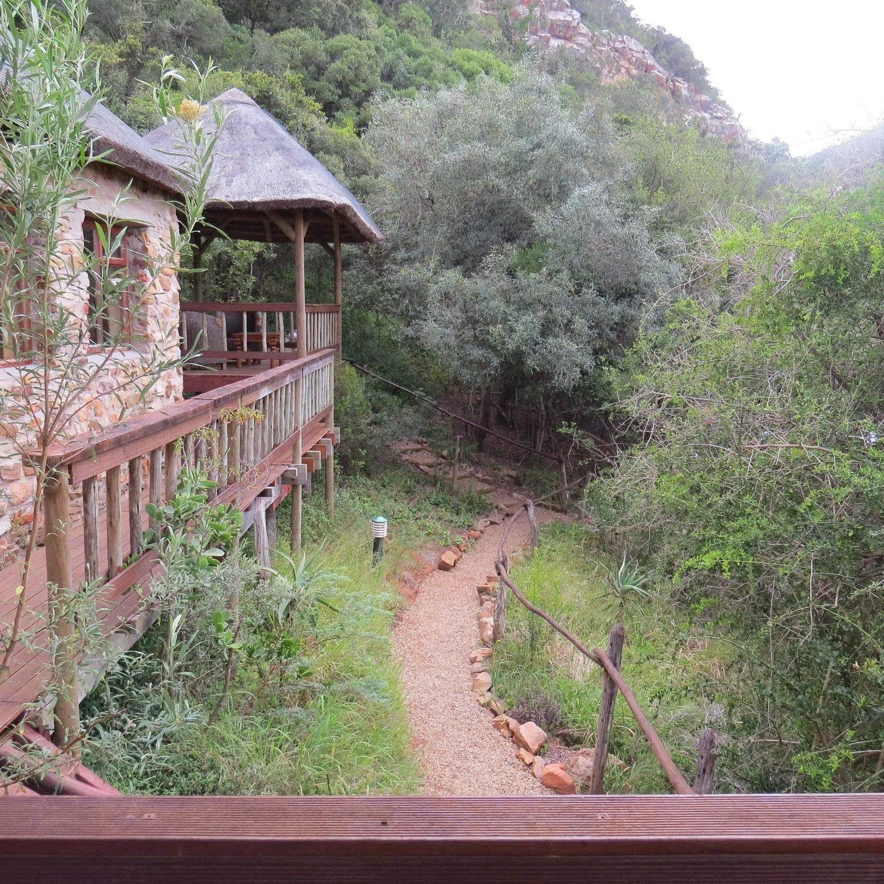 Woodbury Lodge - Amakhala Game Reserve Εξωτερικό φωτογραφία