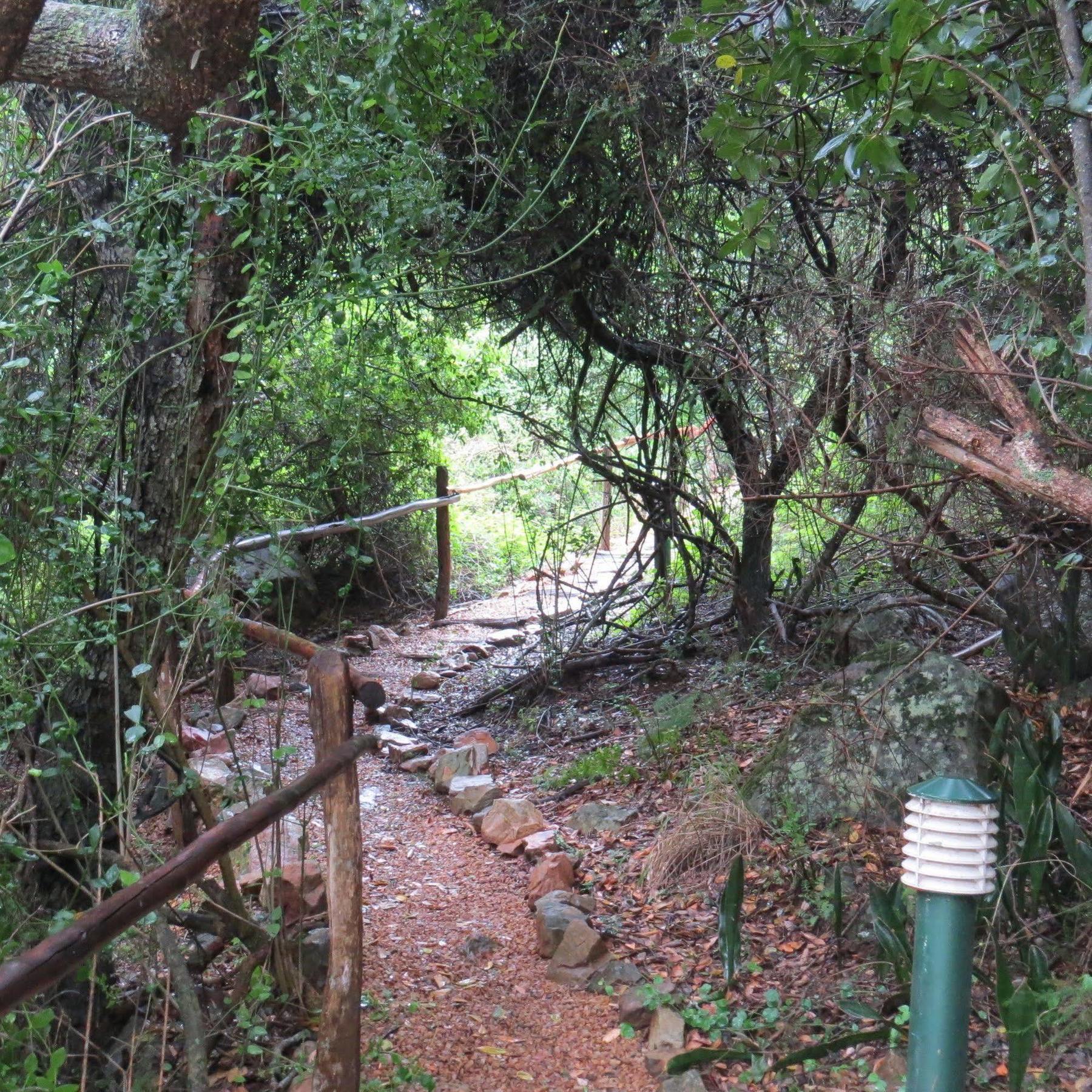 Woodbury Lodge - Amakhala Game Reserve Εξωτερικό φωτογραφία