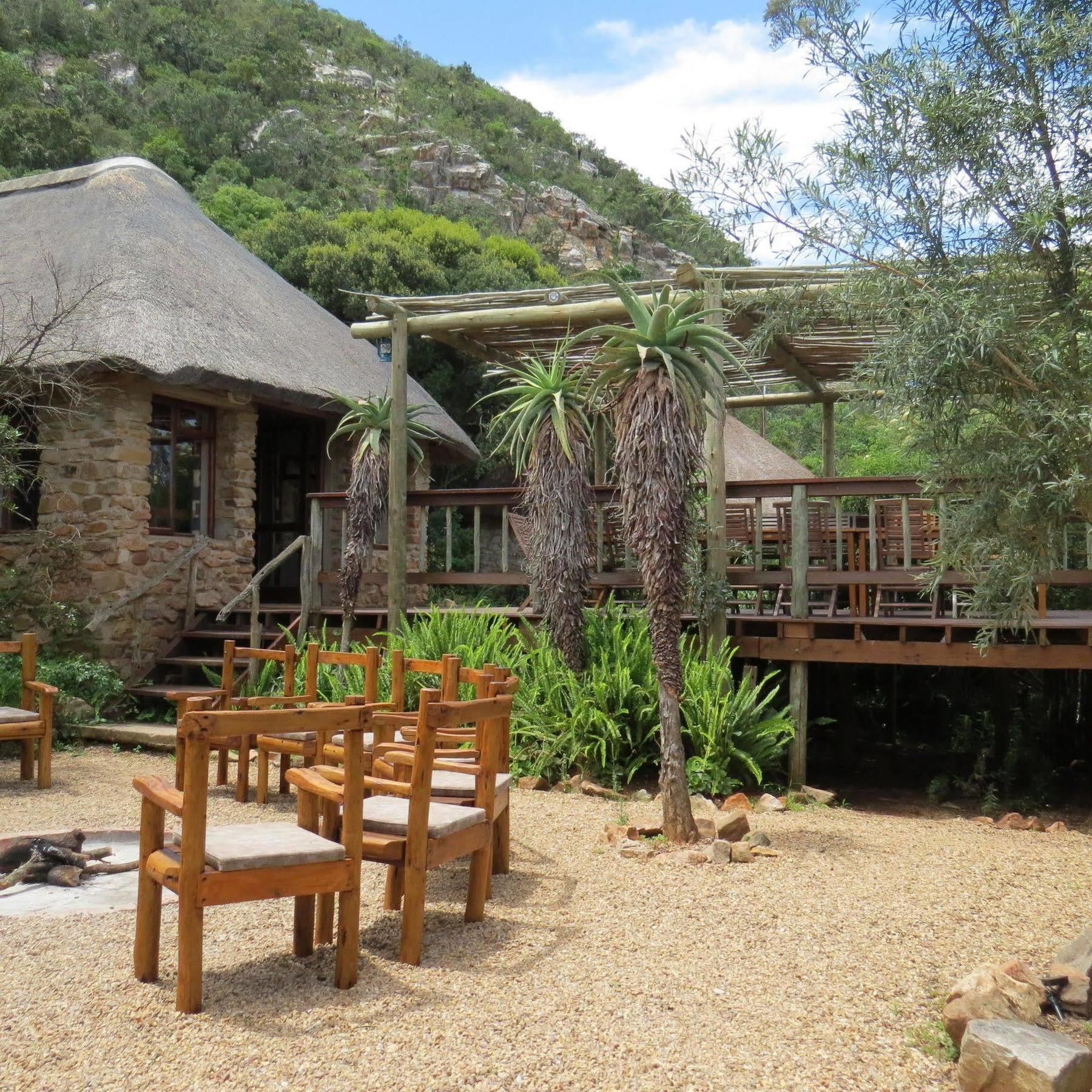 Woodbury Lodge - Amakhala Game Reserve Εξωτερικό φωτογραφία