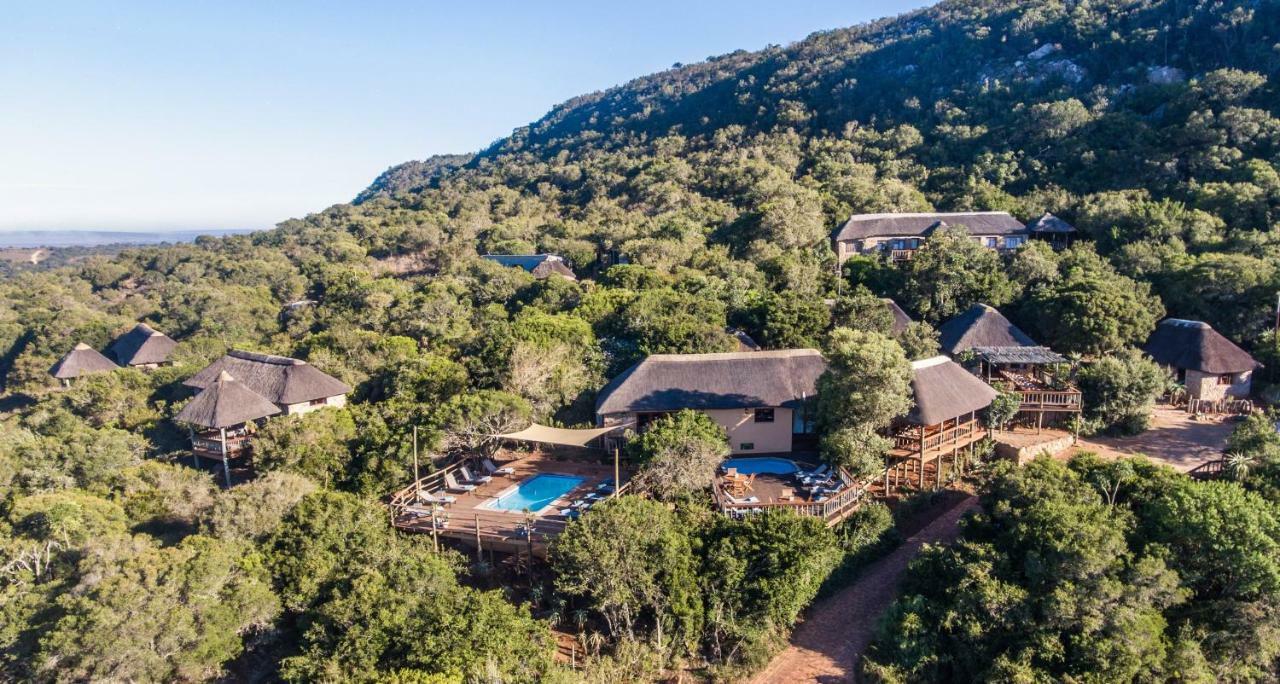 Woodbury Lodge - Amakhala Game Reserve Εξωτερικό φωτογραφία